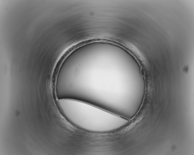 X0000095120924200712070939