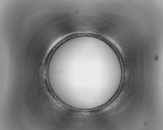 X0000095120925200712070939