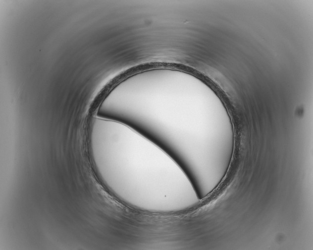 X0000095120926200712070940