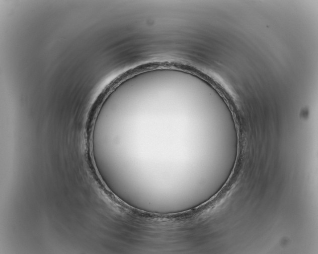 X0000095120927200712070940