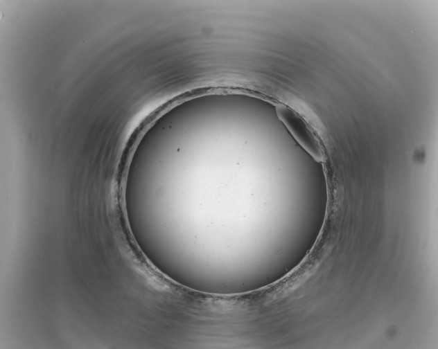 X0000095120928200712070940