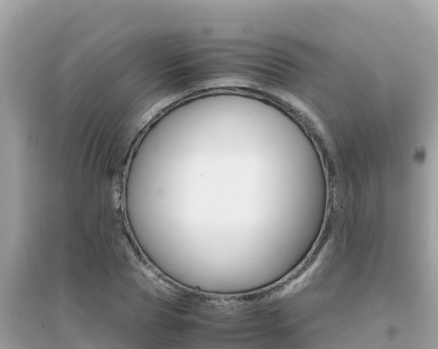 X0000095120929200712070940
