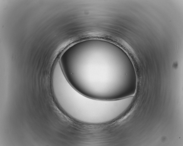 X0000095120930200712070940