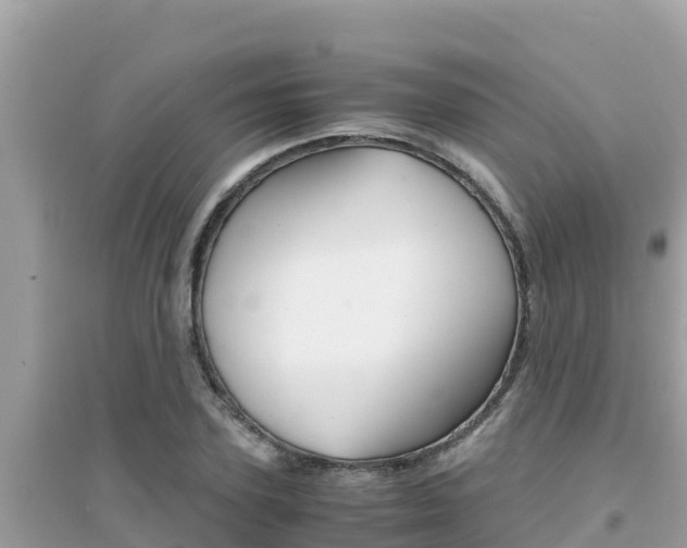 X0000095120931200712070940