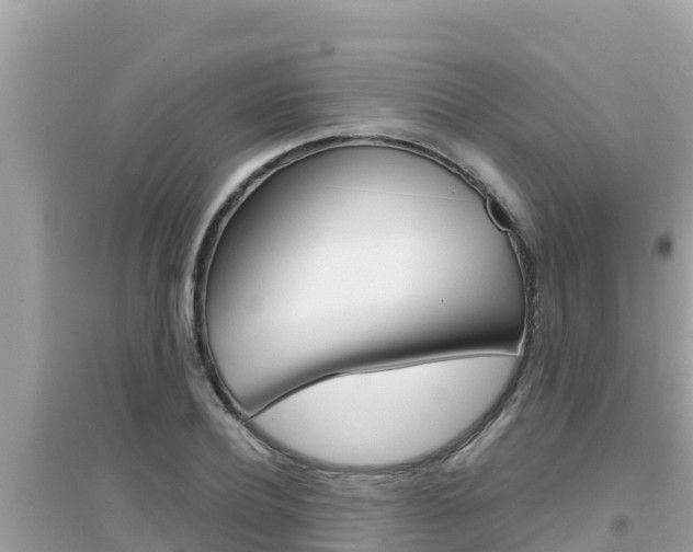 X0000095120932200712070940