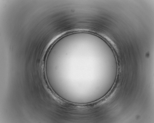 X0000095120933200712070940