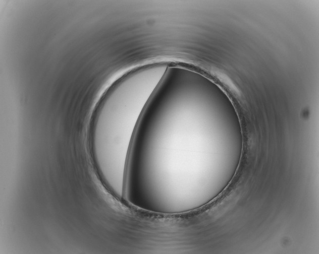 X0000095120934200712070940