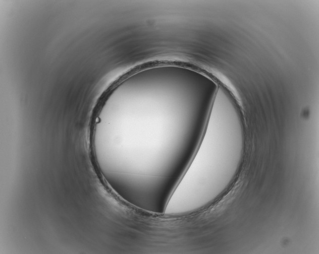 X0000095120935200712070940