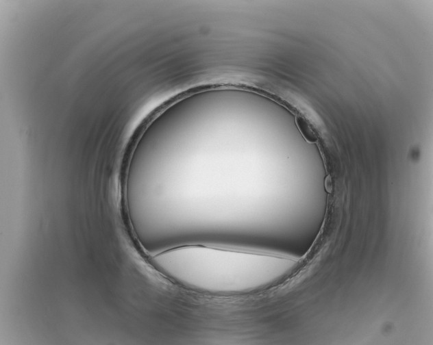 X0000095120936200712070940