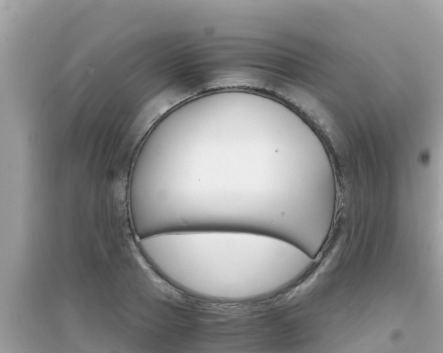 X0000095120937200712070940