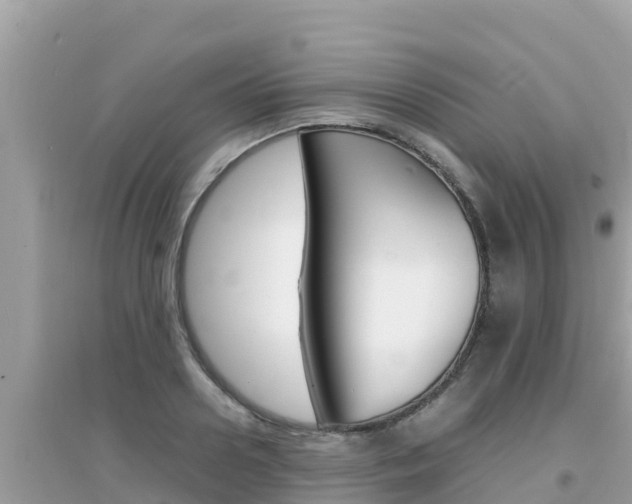 X0000095120938200712070940