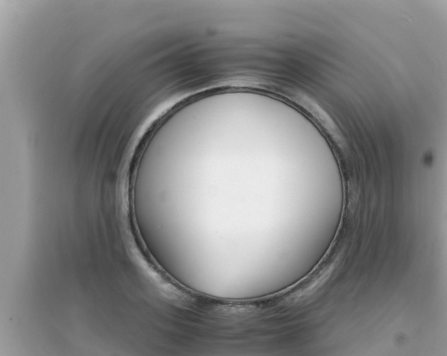 X0000095120939200712070940