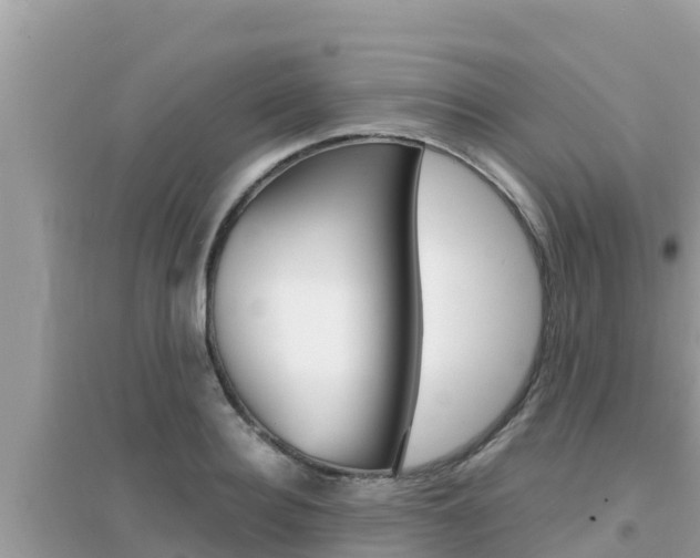 X0000095120940200712070940