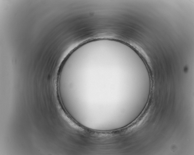 X0000095120941200712070940