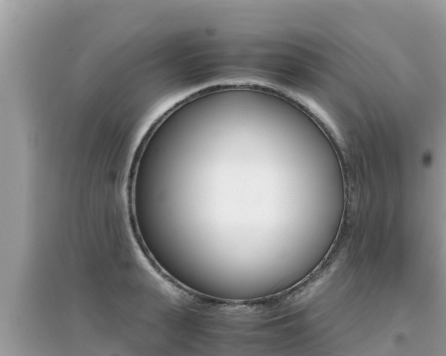 X0000095120943200712070940