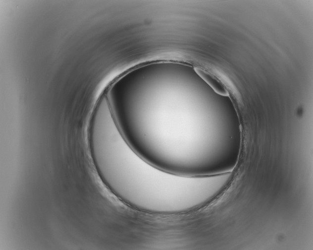 X0000095120944200712070940