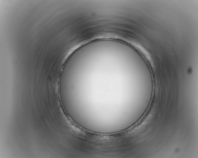 X0000095120945200712070940