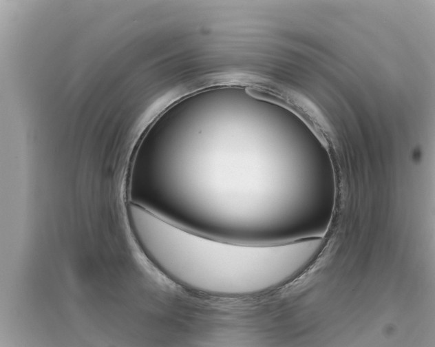 X0000095120946200712070940
