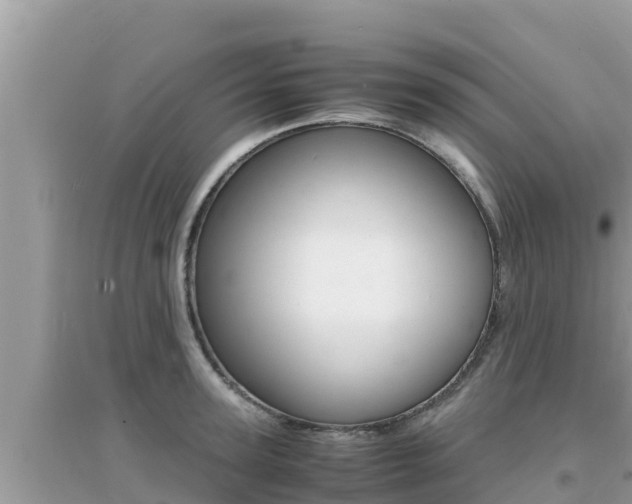 X0000095120947200712070940