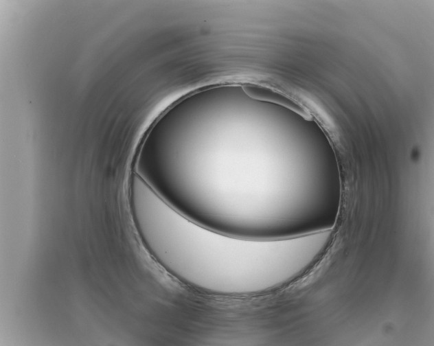 X0000095120948200712070940