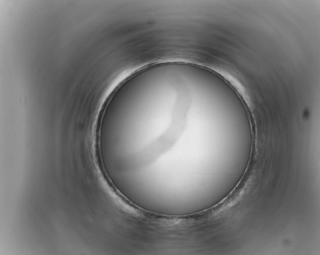 X0000095120949200712070940