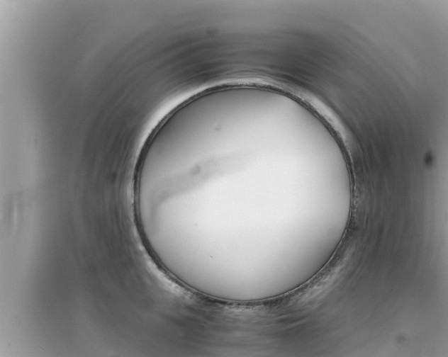 X0000095120951200712070940