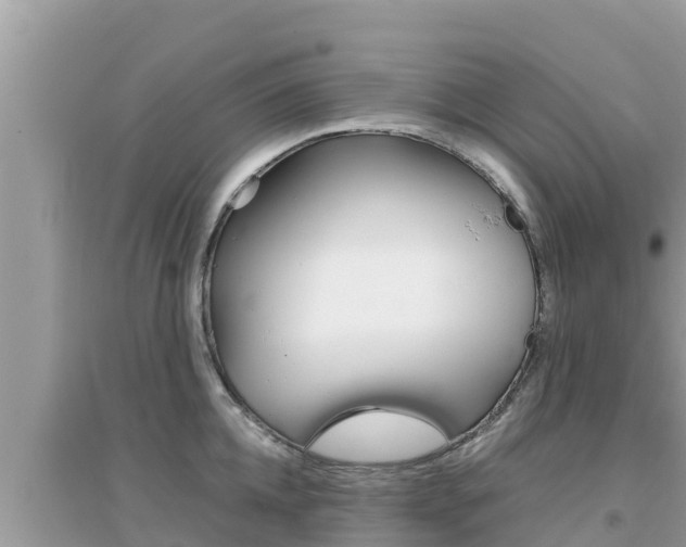 X0000095120952200712070940