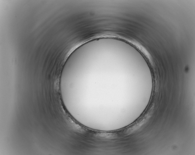 X0000095120953200712070940