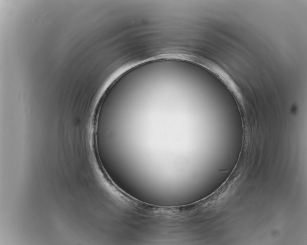 X0000095120955200712070940