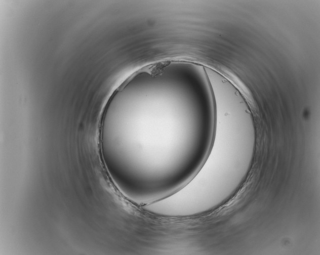X0000095120956200712070940