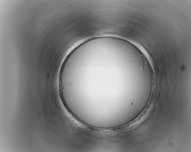 X0000095120957200712070940