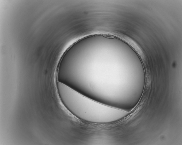 X0000095120958200712070940