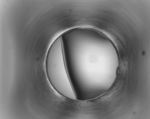 X0000095120959200712070940