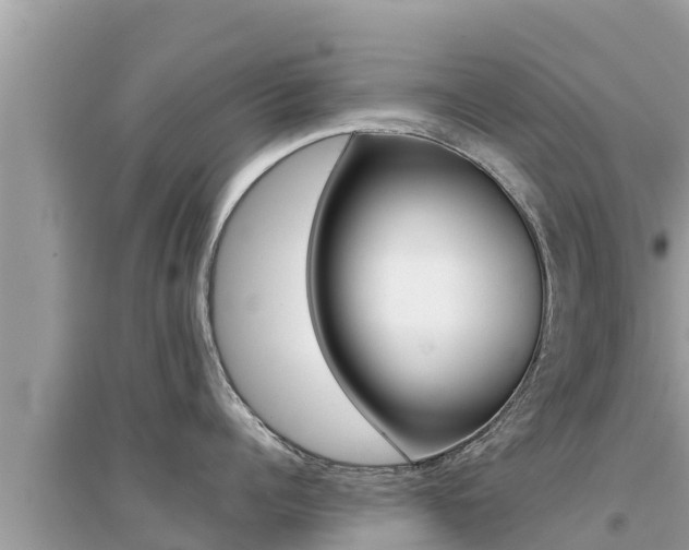 X0000095120960200712070940