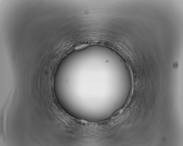 X0000095120961200712070939