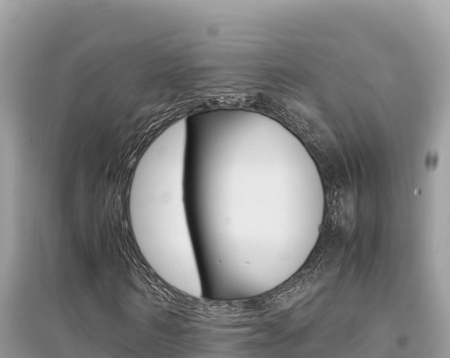 X0000095120962200712070939