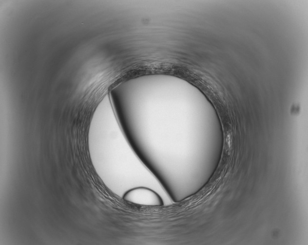 X0000095120963200712070939
