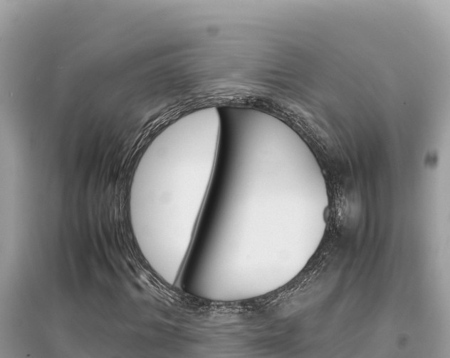 X0000095120964200712070939