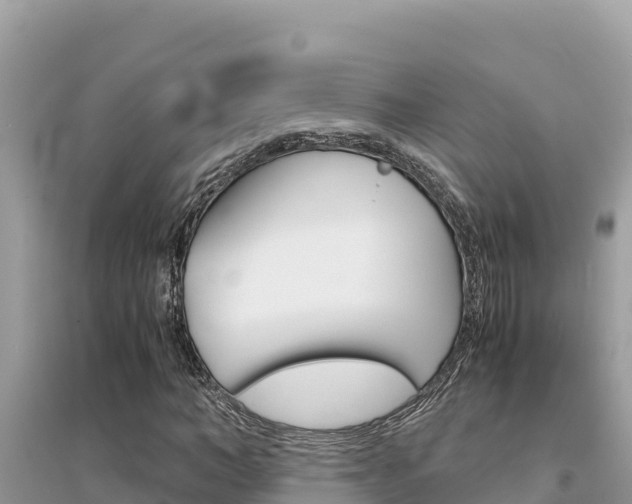 X0000095120966200712070939