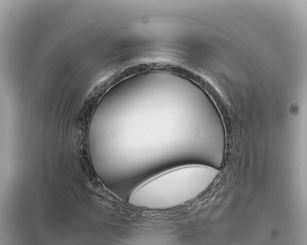 X0000095120967200712070939