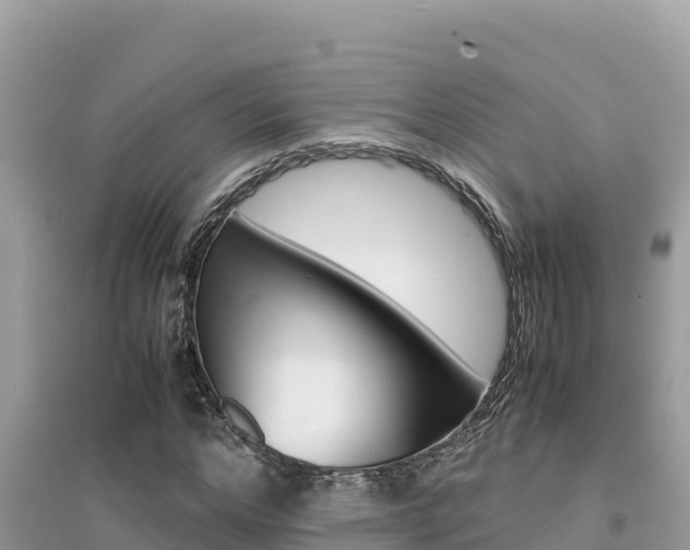 X0000095120968200712070939