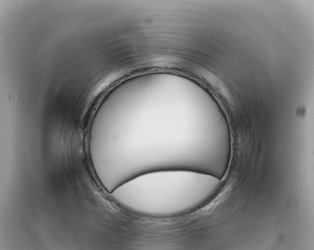 X0000095120970200712070939