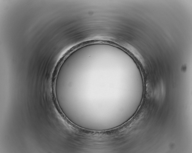 X0000095120972200712070939
