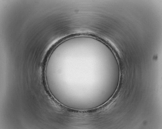 X0000095120975200712070939