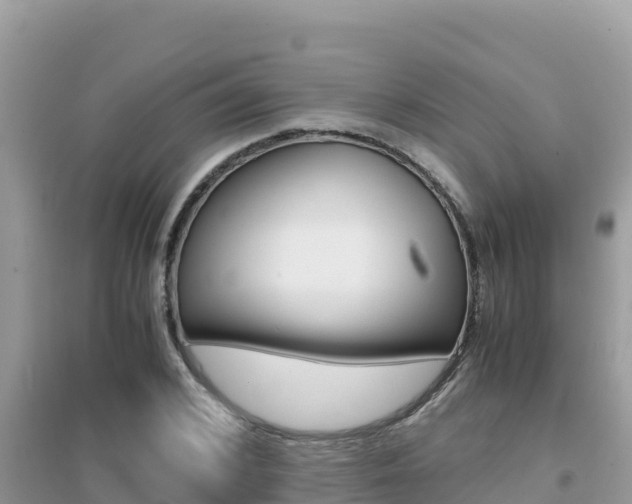 X0000095120976200712070939