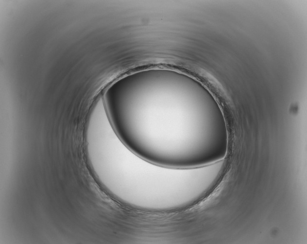 X0000095120977200712070939