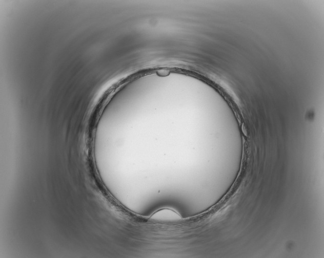 X0000095120979200712070939