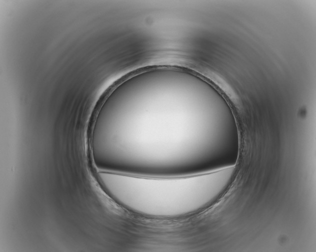 X0000095120980200712070939