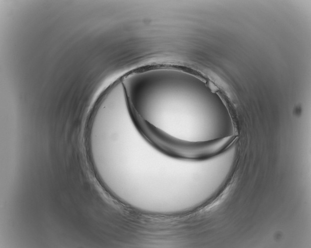 X0000095120981200712070939