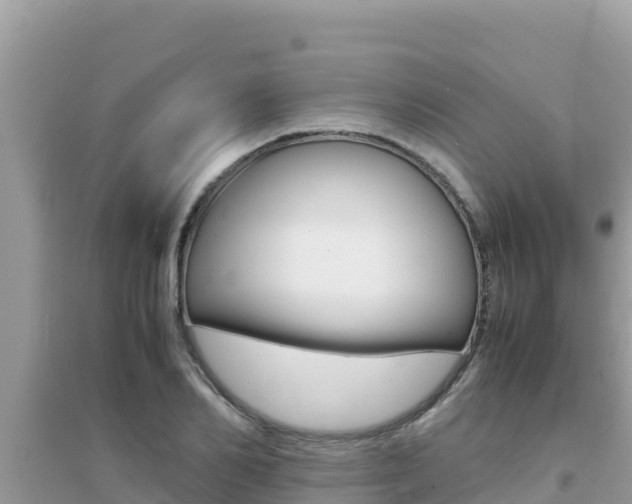 X0000095120982200712070939
